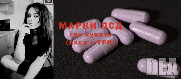 шишки Арсеньев