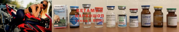 сатива Баксан