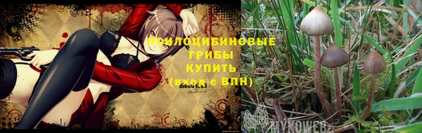 дживик Балабаново