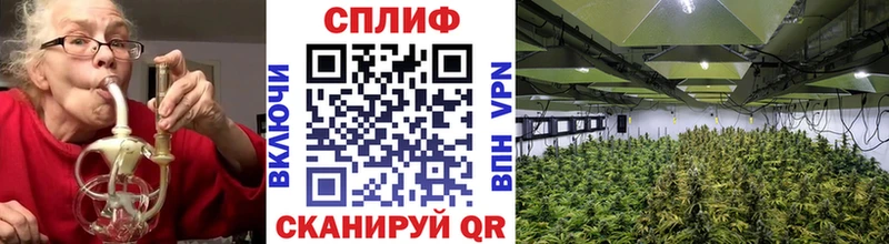 это телеграм  Белебей  Канабис марихуана 